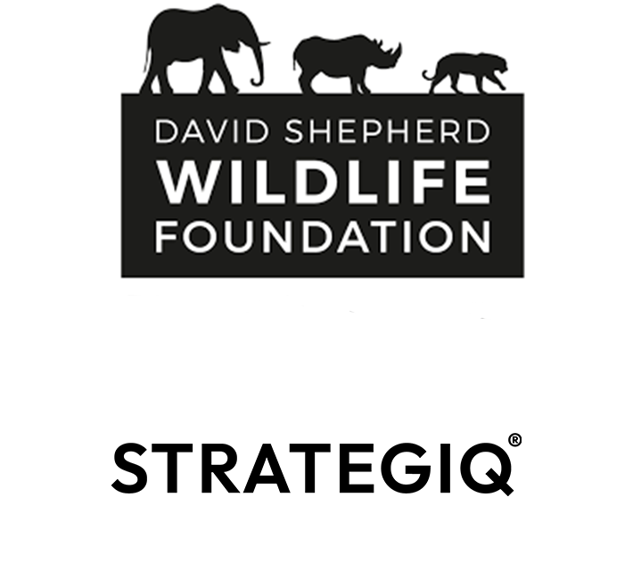 dswf-strategiq-ou-logos6 Logos for David Shepherd Wildlife Foundation and StrategiQ